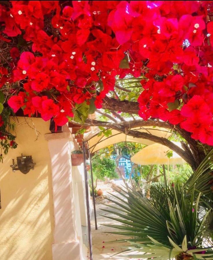 Casita Limon Andratx Villa Exterior photo