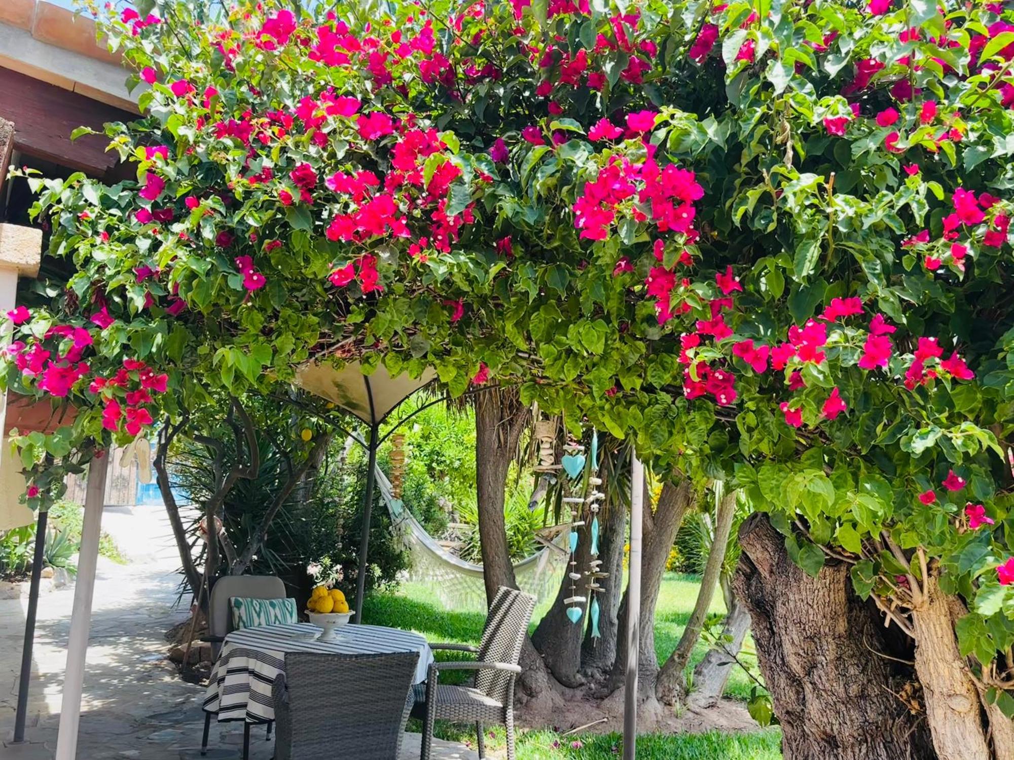 Casita Limon Andratx Villa Exterior photo